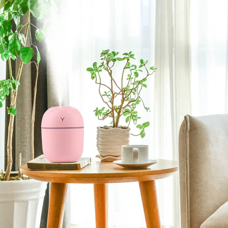 Mini Portable Humidifier - 220ml